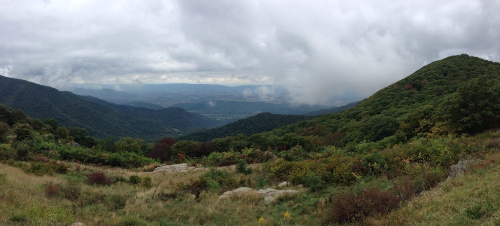 Image_from_Riposte_2013-09-28